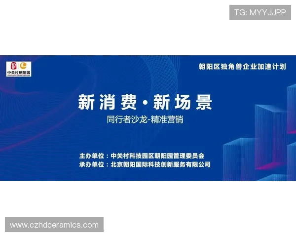 亚星控股集团在全球化背景下的扩展策略与投资布局探讨